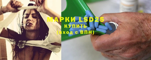 СК Надым