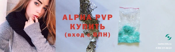 СК Надым