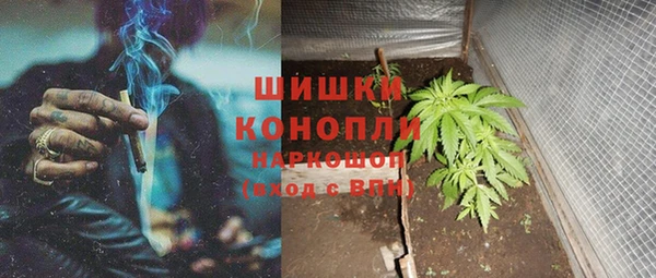 СК Надым