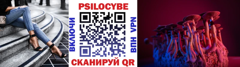 Галлюциногенные грибы Cubensis  Шлиссельбург 